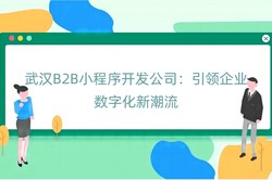 武汉B2B小程序开发公司：引领企业数字化新潮流
